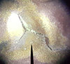 error-penny-closeup2.jpg