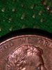 IMG_20180210_194031.jpg