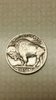 36S buuf reverse.jpg