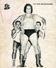 andre-the-giant-signed-cover-66034.jpg