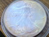 2003.jpg