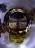 1916 S evoo2.jpg