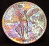DSCF3030.jpg