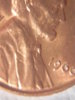 60 small date 005.JPG