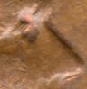 img082.jpg
