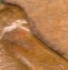 img084.jpg