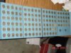 DSC03977.jpg
