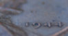 1944db.jpg