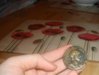 coin1.jpg