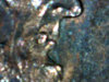Ud-1.jpg