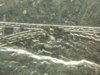 2005 SQ W Va tresell gone.jpg