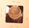 Copy of P1010001.JPG