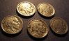 5 buffalo nickels obverse.jpg