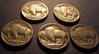 5 buffalo nickels reverse.jpg