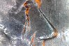 Photo on 3-3-18 at 16.01 #3.jpg