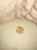 IMG_20180305_025152.jpg