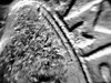 20180306_194022_Film5.jpg