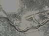 WIN_20180308_171954.JPG