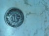 coin1.jpg
