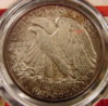 coinwalker 008-1.jpg