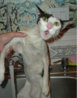 BATH-HATER-17.jpg