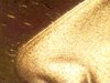 n11.jpg