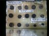 IMG-20180315-WA0085.jpg