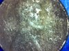 S20180322_0004.jpg