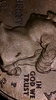 Screenshot_2018-04-03-10-41-57.png