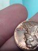 IMG_20180404_162754.jpg