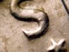 1969DDDRPic3.JPG