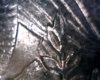 Picture 004.jpg