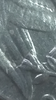 Screenshot_20180406-094952.png