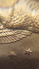 15230403539582125813298.jpg