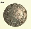 Rosa_5a.jpg