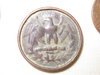 Coin 1.JPG