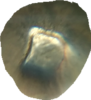 2018-04-21 19.10.42.png