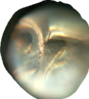 2018-04-21 19.12.26.png