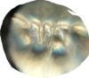 2018-04-21 19.12.59.png