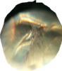 2018-04-21 19.11.49.png
