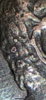 63A5CCE9-4C3F-43AA-9DC8-EA593CCE4197.png