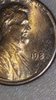 Picture_20180126040139.jpg