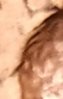 20180427_231430.jpg