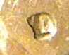 1976 d over d mint mark-002.jpg