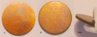 CopperCladQuarterBlank.jpg