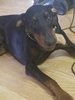 20180505_095151.jpg