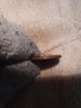 20180505_134537.jpg