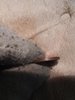 20180505_134602.jpg