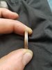 20180505_163736.jpg