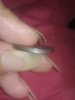 20180518_073409.jpg
